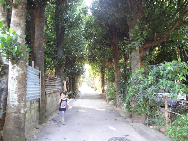 Bise House Guest House โมโตบุ ภายนอก รูปภาพ